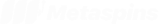 Metaspins